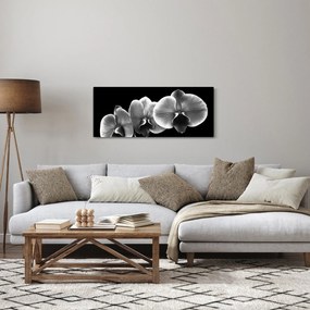 Obraz kvetu orchidey (120x50 cm)