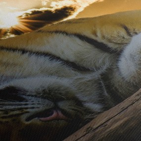 Obraz spiaceho tigra (120x50 cm)