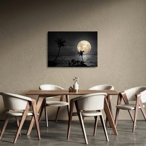 Sklenený obraz - Pláž za splnu v šedých tónoch (70x50 cm)