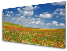 Obraz na skle Lúka kvety príroda 125x50 cm