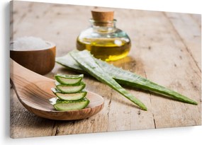 Obraz - Aloe vera (90x60 cm)