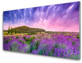 Obraz na akrylátovom skle Lúka kvety hory príroda 125x50 cm