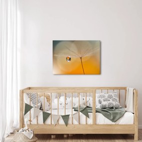 Obraz - Makro kvetu (70x50 cm)