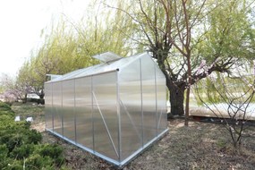 Skleník so základňou BestBerg BBGH-1006S / 5,95 m² / 313 × 190 × 194 cm / strieborná