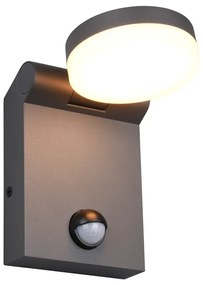 Vonkajšie svietidlo so senzorom pohybu (výška 19 cm) Adour – Trio