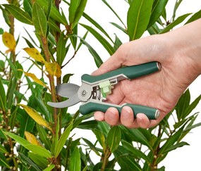 Záhradnícke mininožnice, 2 ks