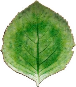 Zelený kameninový tanier Costa Nova Riviera, 19 x 22 cm