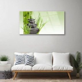 Skleneny obraz Bambus tráva rastlina príroda 100x50 cm