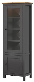 Vitrína BRW Hesen REG1W1D/20/7 (s LED osvetlením) (grafit + dub artisan). Akcia -18%. Vlastná spoľahlivá doprava až k Vám domov. 1062517
