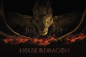 Umelecká tlač House of the Dragon - Dragon's fire, (40 x 26.7 cm)