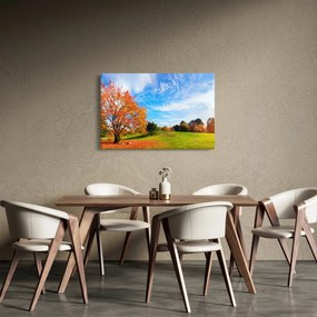 Obraz - Jesenná krajina (90x60 cm)