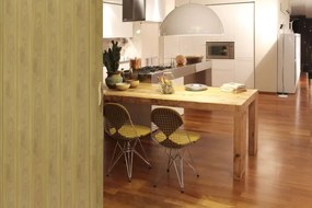 Skladacie dvere 001P svetlý dub matný 90 cm