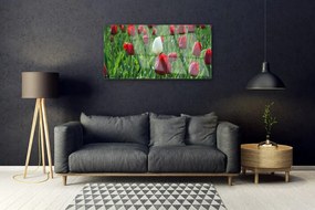 Skleneny obraz Tulipány kvety príroda 140x70 cm