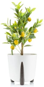 PLASTOVÝ KVETINÁČ MOSS ECO 25X26 CM BIELA