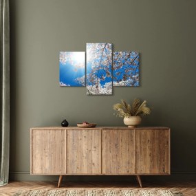 Obraz - Čerešňové kvety (90x60 cm)