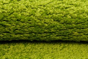 TA Koberec 7388A ZELENÁ DELHI SFB