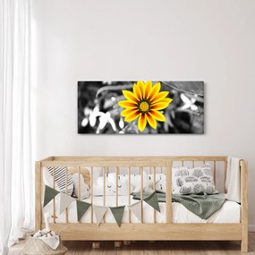 Obraz žltej kvetiny (120x50 cm)