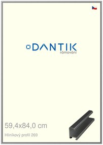DANTIK rám na obraz 59,4x84 | ALU Šedá leská (Plexi Čiré)