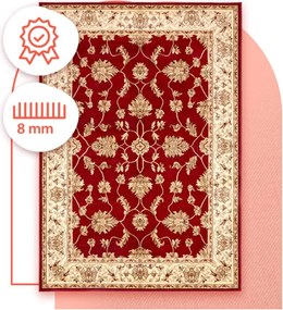 Koberec Agnella Standard Begonia bordový