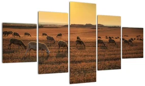 Obraz - panoráma krajiny na stenu