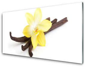 Obraz plexi Vanilka rastlina príroda 100x50 cm