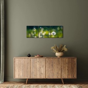 Obraz - Tráva (s hodinami) (90x30 cm)