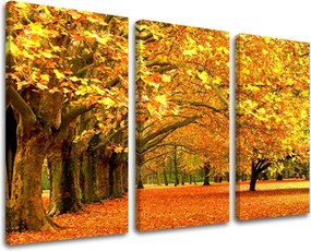 Obraz na stenu 3 dielny STROMY ST010E30