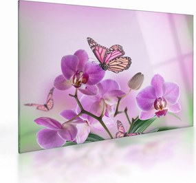 Sklenený obraz - Motýľ na kvetoch orchidey, lila (70x50 cm)