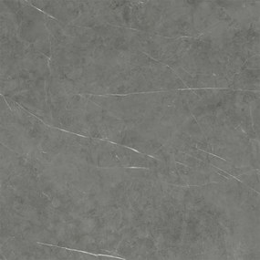 Dlažba Tessino Grey Pulido 120x120 R