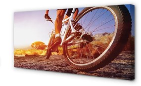 Obraz canvas Bicykel horskej ceste západ 100x50 cm