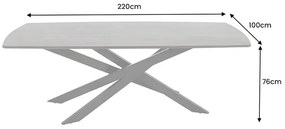 Jedálenský stôl SIGNUM 220 cm mangové drevo tmavohnedosivý
