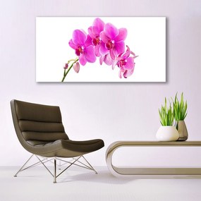 Obraz plexi Vstavač kvet orchidea 120x60 cm