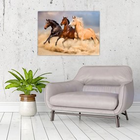 Sklenený obraz - Divé kone (70x50 cm)