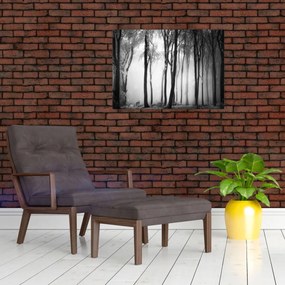 Obraz - Vlk v temnom lese (70x50 cm)