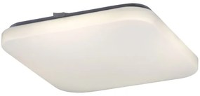 Rabalux 2287 - LED Stropné svietidlo ROB 1xLED/32W/230V hranatý