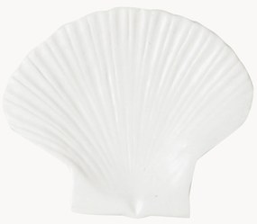 Dezertný tanier z dolomitu Shell