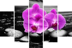 Obraz - Fialové orchidey (150x105 cm)