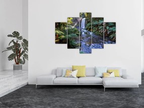 Obraz australského dažďového lesa (150x105 cm)