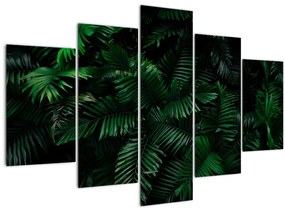Obraz - Tropické papradie (150x105 cm)