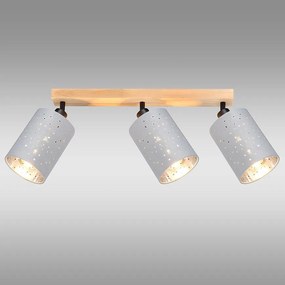 Stropné bodové svietidlo DAFNE AS-DAE143BR LS3