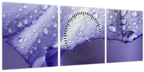 Obraz - Okvetný lístok s kvapkami (s hodinami) (90x30 cm)