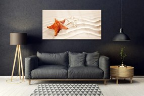 Obraz plexi Hviezdice na piesku pláž 120x60 cm