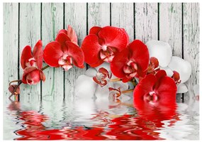Artgeist Fototapeta - Ruby orchid Veľkosť: 200x140, Verzia: Standard