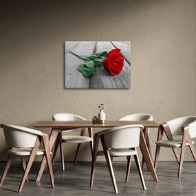 Obraz - Červená ruža so zelenou stonkou (70x50 cm)
