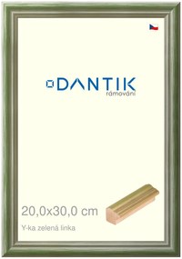 DANTIK rám na obraz 20x30 | Y-ka zelená linka (Sklo Čiré)