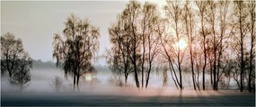 Obraz - Ranná sychravosť (120x50 cm)