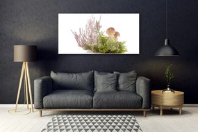 Obraz plexi Huby rastlina príroda 120x60 cm
