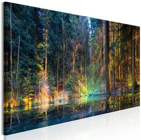 Obraz - Pond in the Forest (1 Part) Narrow Veľkosť: 120x40, Verzia: Premium Print