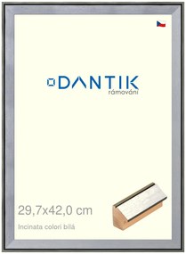 DANTIK rám na obraz 29,7x42 | INCLINATA colori Bílá (Plexi Čiré)