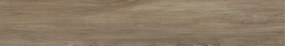 Dlažba Belfast Walnut 26x160 R